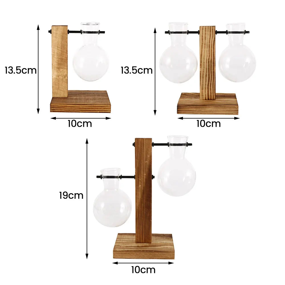 Elegant Hydroponic Glass Planter with Wooden Stand for Home and Office Decor