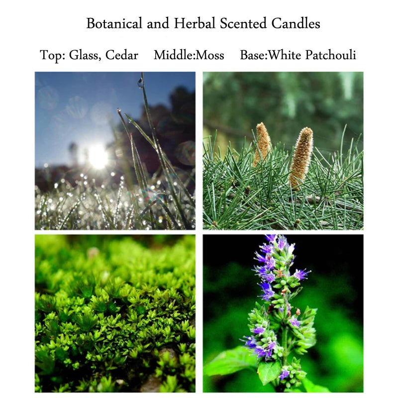 Green Scented Candles Pillar Wax Candles Smokeless Essential Oil Aromatherapy Candle Herbal Fragrance Home Decoration