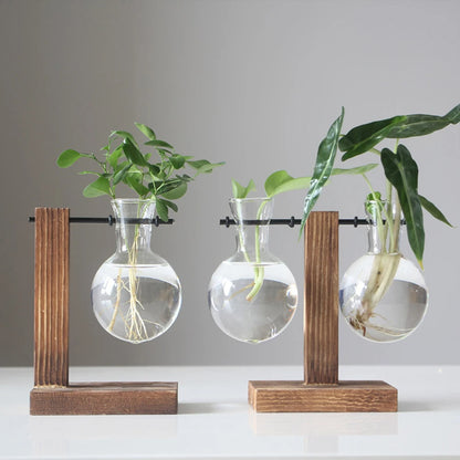 Elegant Hydroponic Glass Planter with Wooden Stand for Home and Office Decor