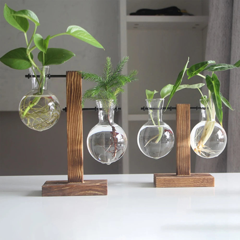Elegant Hydroponic Glass Planter with Wooden Stand for Home and Office Decor