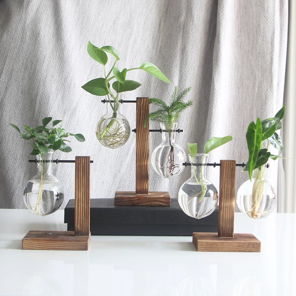 Elegant Hydroponic Glass Planter with Wooden Stand for Home and Office Decor