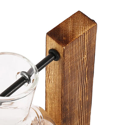 Elegant Hydroponic Glass Planter with Wooden Stand for Home and Office Decor